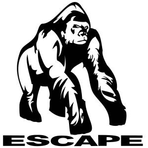 Escape Climbing Holds Logo